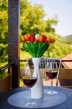 Apartmani Nina